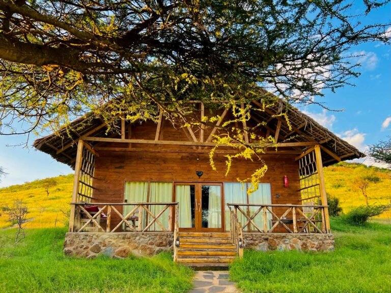 6b420996-7baa-4ef8-955e-fcc5920ebd95