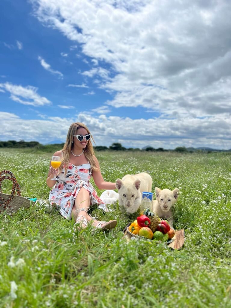 7f4804c3-dc05-46c4-beff-a8d0e0929ba5