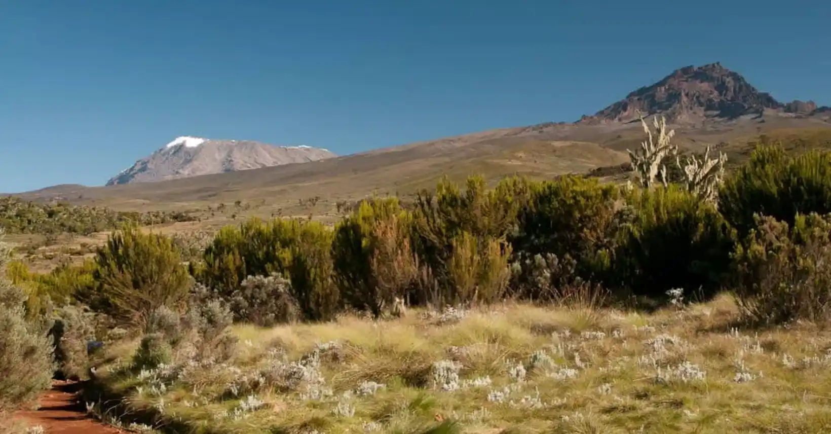 marandara hut trail to horombo hut