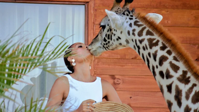 serval wildlife lodge tanzania