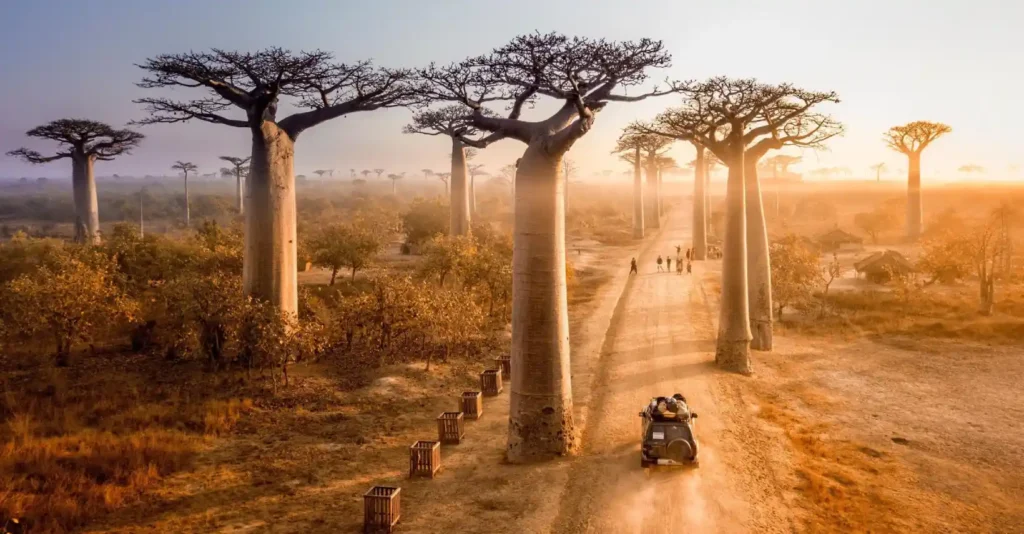 the safest countries in africa