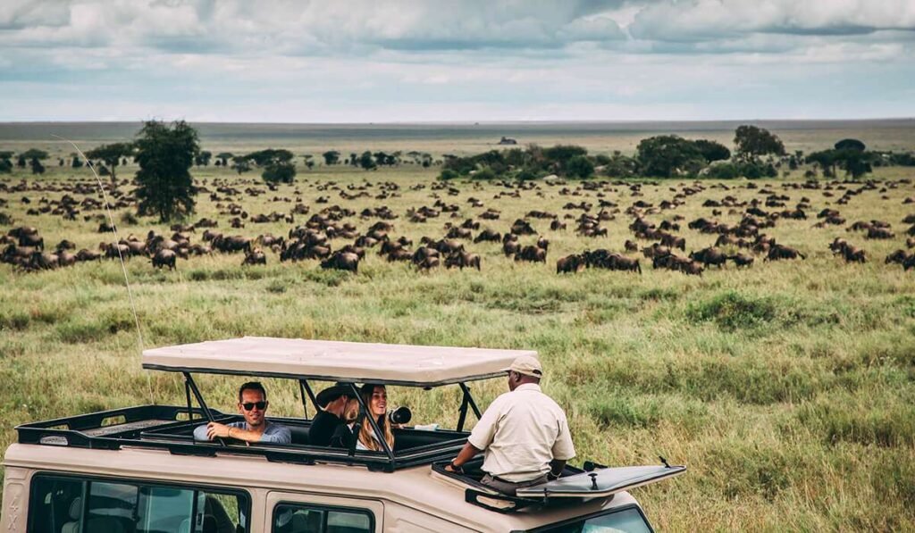 4 Day Serengeti & Ngorongoro Safari – Fly In from Zanzibar