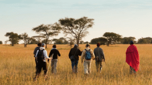 Is Tanzania safe for tourists - Guided tour experience
