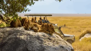 Is Tanzania safe for tourists – Safari experience in Tanzania