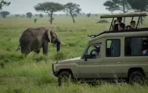 Is it safe to go to Tanzania - Safe safari transportation options