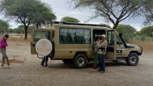 4 Day Tanzania Safari from Zanzibar