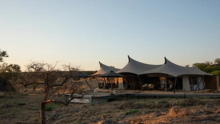 ENVI Sisini Serengeti