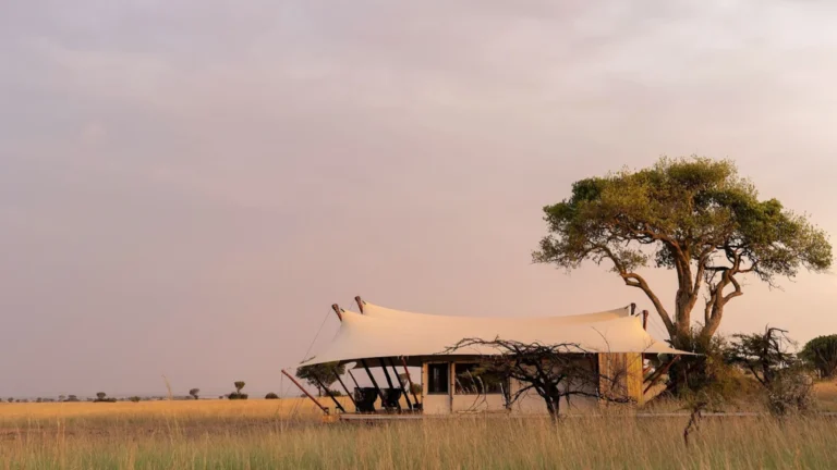 ENVI Sisini Serengeti-camp