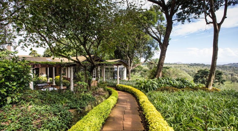 Gibbs-Farm-restaurant-path-1