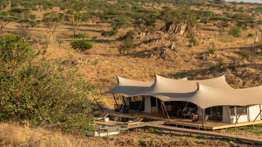 ENVI Sisini Serengeti