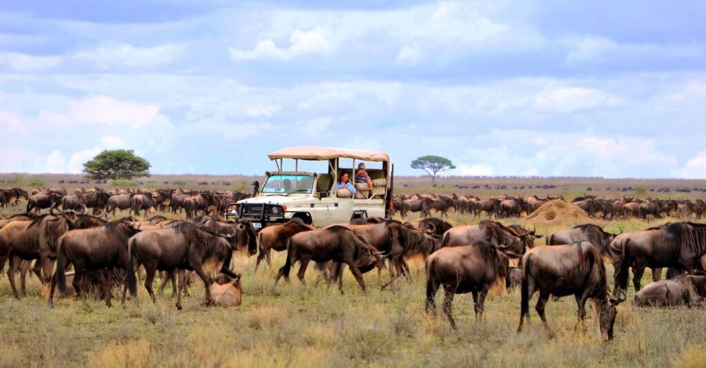 where to go in africa in january