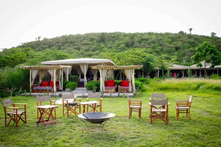 Main-Area-View-scaled