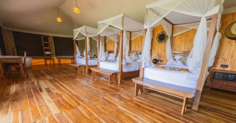 Safari Haven Serengeti room triple
