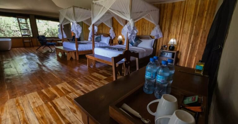 Safari Haven Serengeti triple room