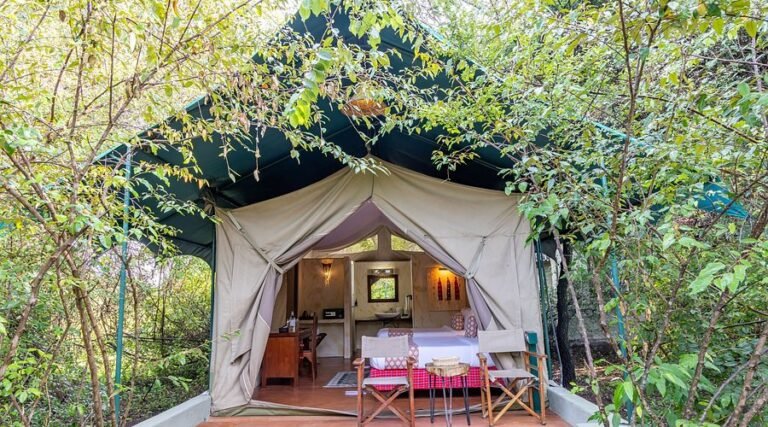 savannah-tent
