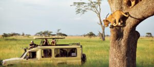 4x4 safari vehicle used for private safari in Tanzania national parks 