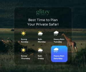 Best Time to Plan Your Private Safari in Tanzania
