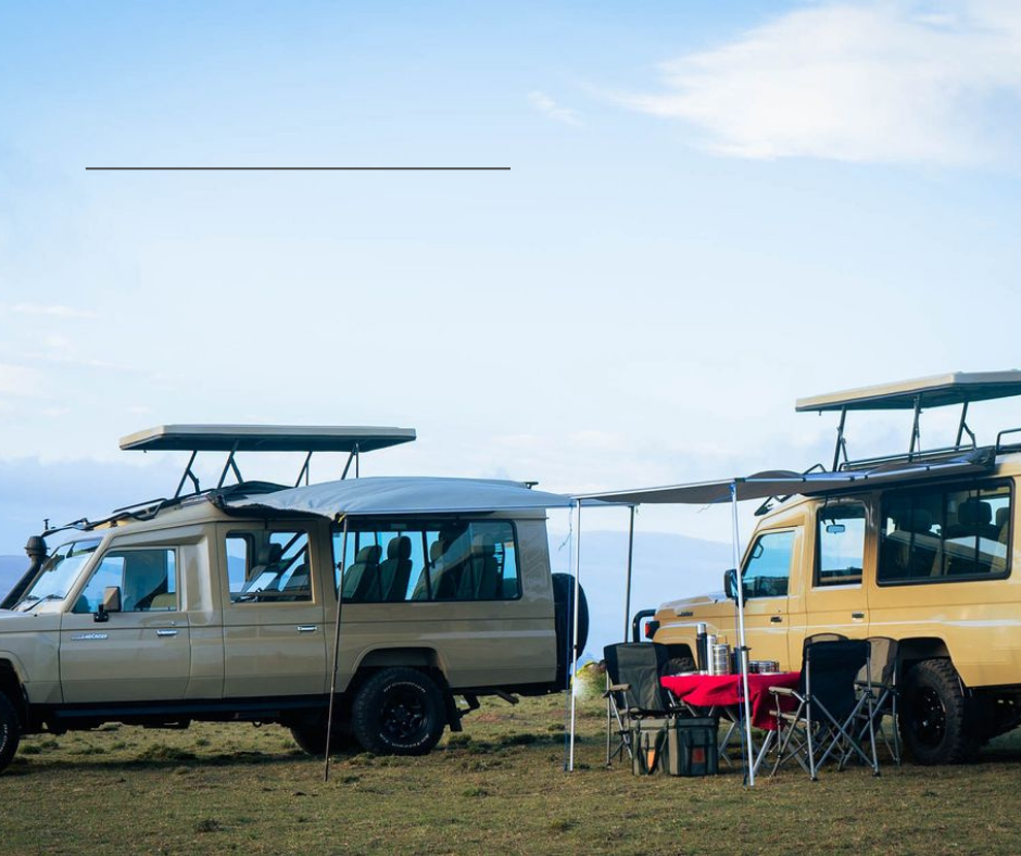 glitzy safaris - book your Safari in Tanzania
