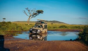 Private 4x4 safari vehicle exploring Serengeti National Park during Tanzania Safari in May