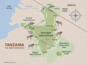 Annual wildebeest migration circular route map Tanzania Serengeti best months for private safari