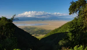 Ngorongoro Crater wildlife viewing during Tanzania safari in January