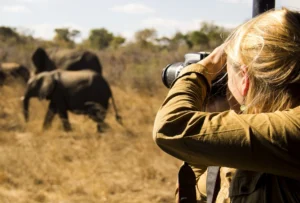 Photography safari Tanzania tailor made with professional wildlife photography game drive