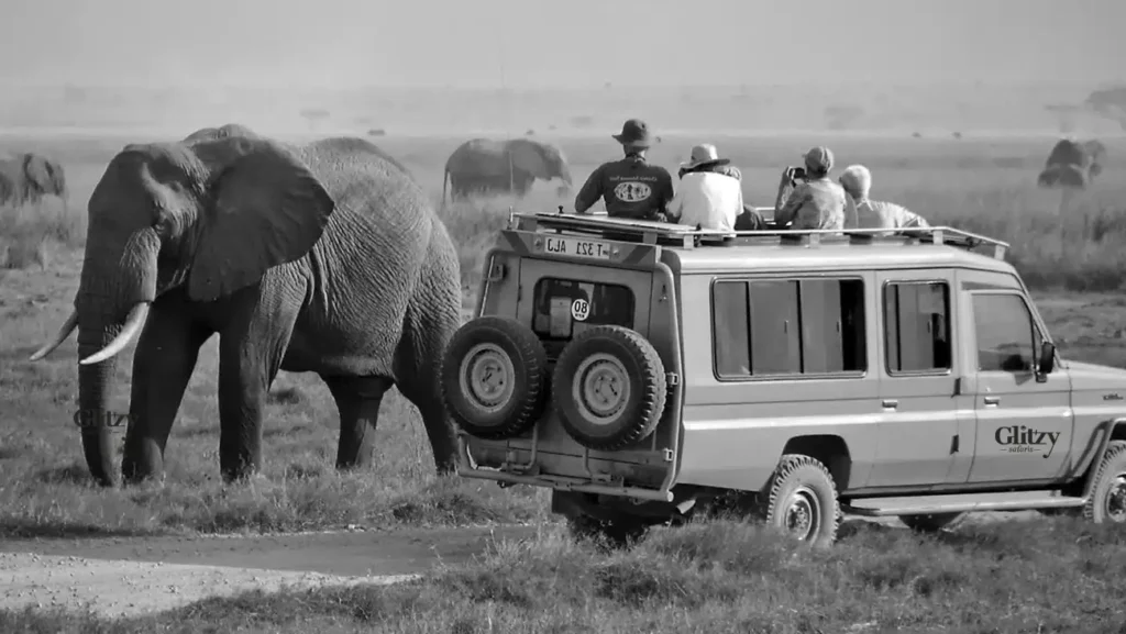 private Safari Tanzania with Glitzy Safaris at Serengeti game drive
