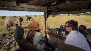 Couple enjoying a private safari in Tanzania Serengeti National Park