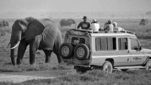private Safari Tanzania with Glitzy Safaris at Serengeti game drive
