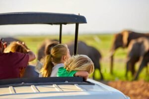 Alt text: Family enjoying a tailor-made family safari Tanzania game drive in a 4x4 safari jeep