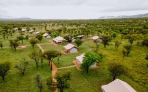 Luxury tented safari camp in the Serengeti green season during safari experience