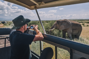 Safari jeep driving through Serengeti during Tanzania safari in December across green savannah landscapes 
