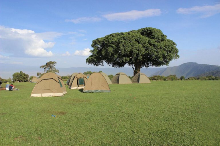 Simba Campsite 2