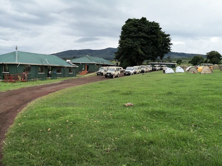 Simba Campsite 3