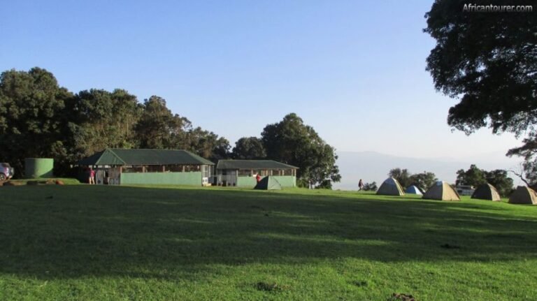 Simba Campsite 6