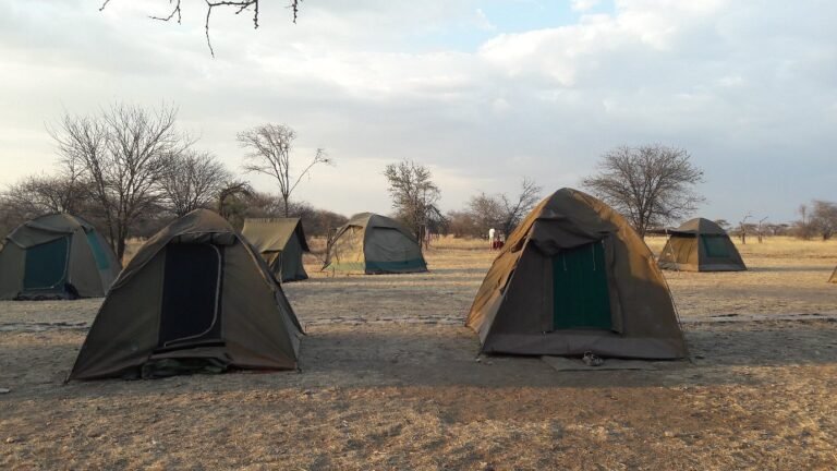 seronera campsite 2