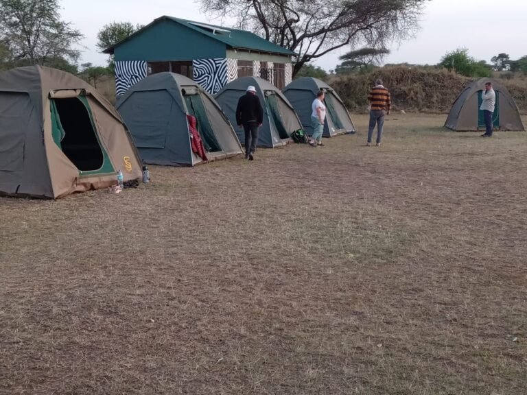 seronera campsite 5