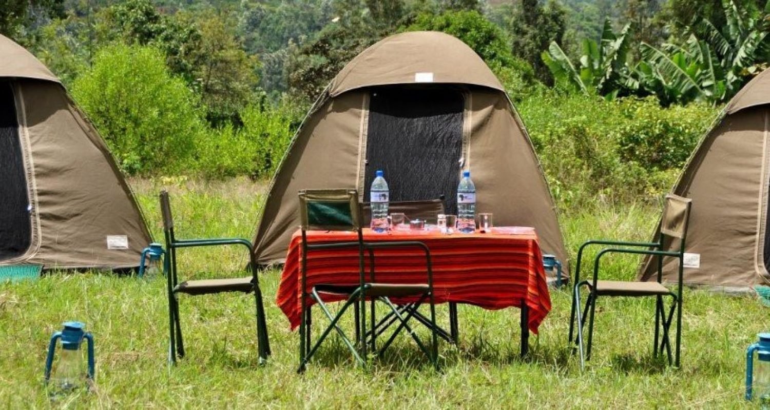camping-safaris-2.jpeg